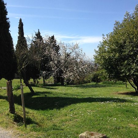 Bed and Breakfast Ecuries Sainte Croix Carcassonne Exterior foto