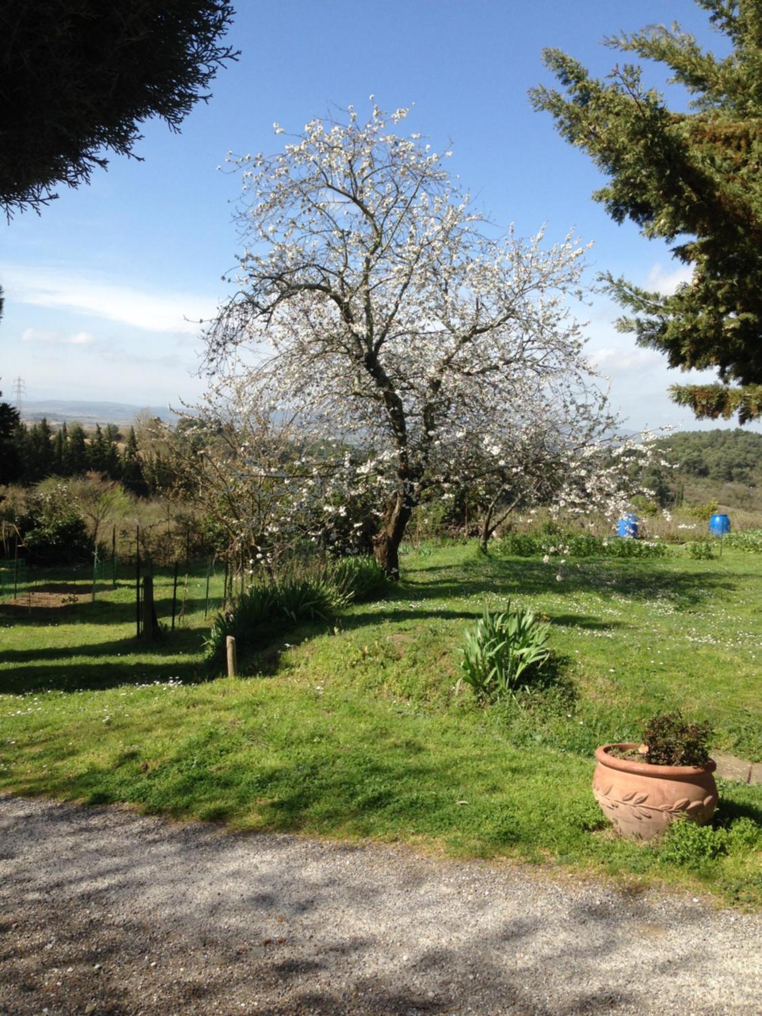 Bed and Breakfast Ecuries Sainte Croix Carcassonne Exterior foto