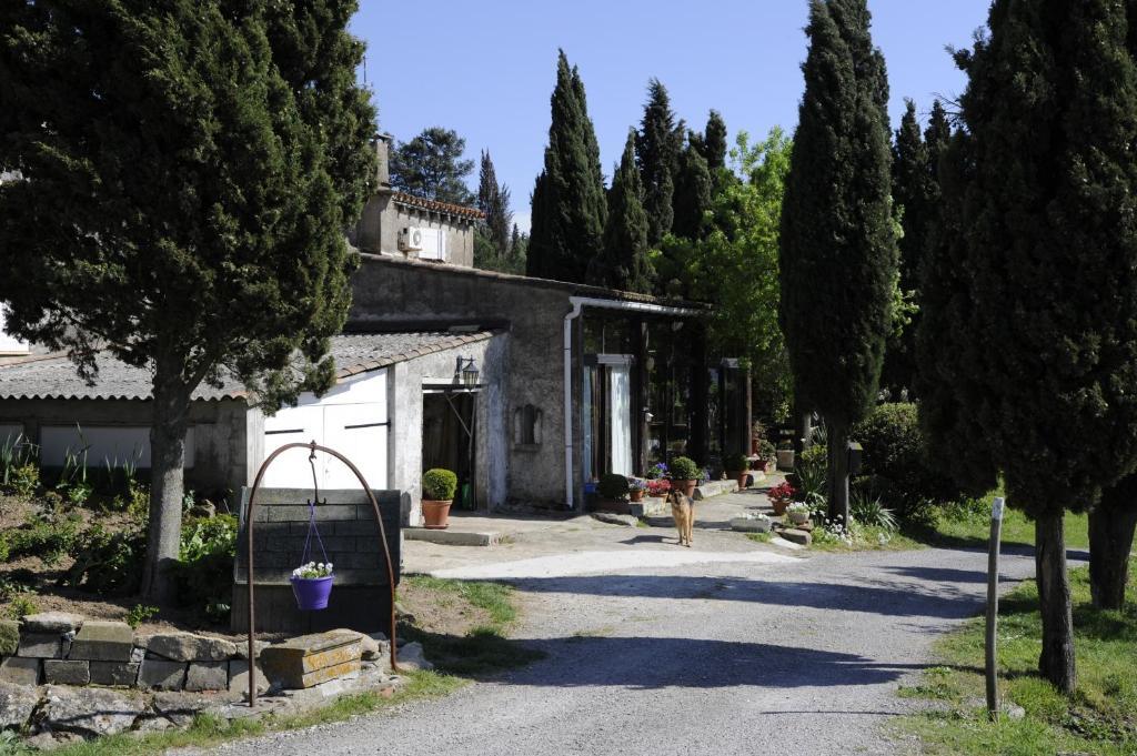 Bed and Breakfast Ecuries Sainte Croix Carcassonne Exterior foto